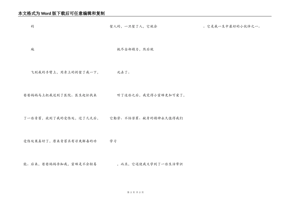 我最喜欢的小蜜蜂_第2页