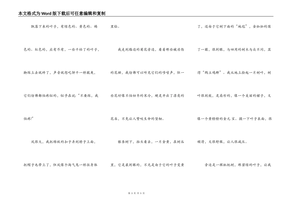 关于冬天的作文3篇_第3页
