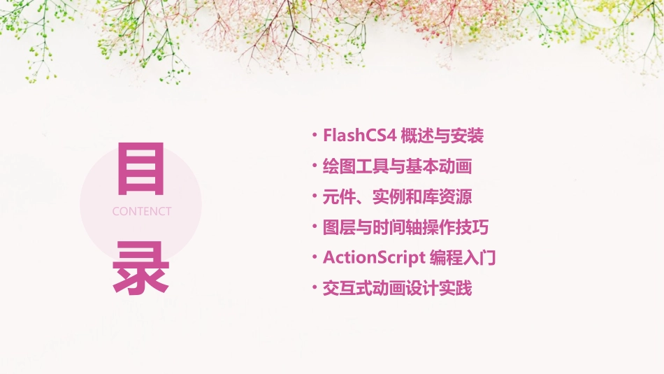 01FlashCS4动画制作基础_第2页