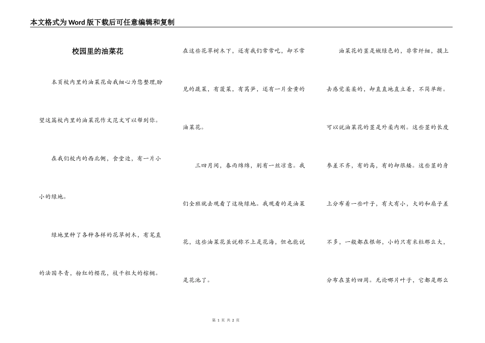 校园里的油菜花_第1页