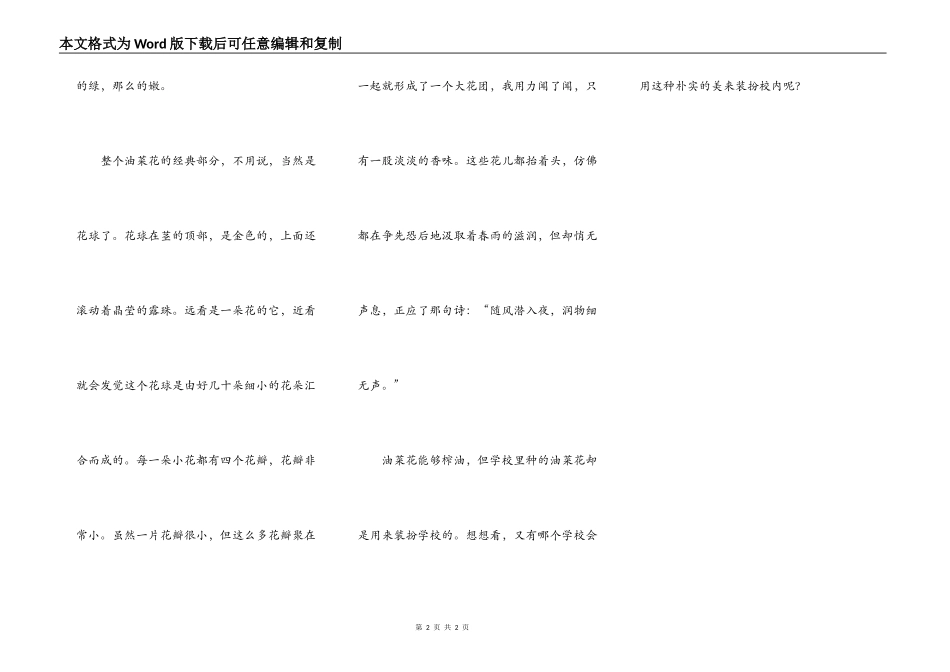 校园里的油菜花_第2页