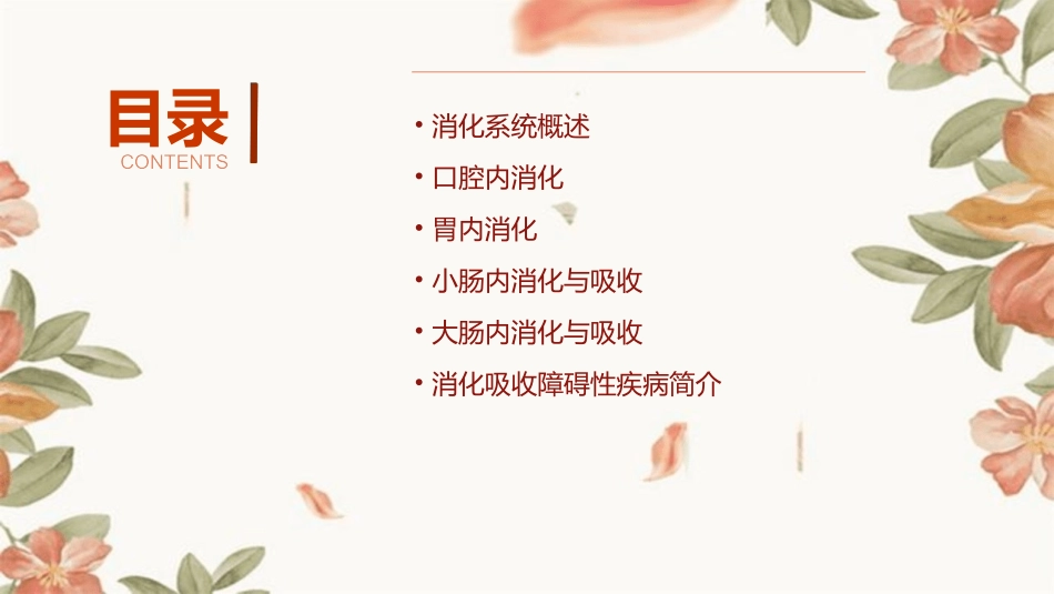 生理学消化和吸收PPT课件ppt(最新资源)_第2页