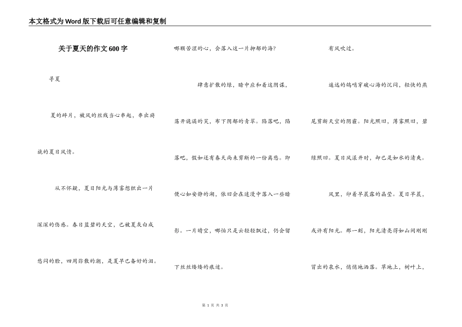 关于夏天的作文600字_第1页