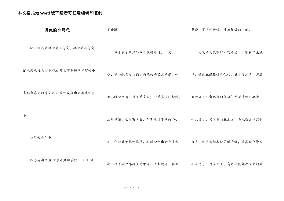 机灵的小乌龟_第1页