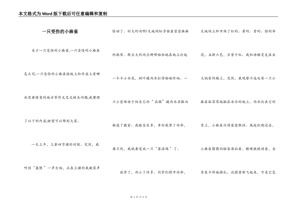 一只受伤的小麻雀_第1页