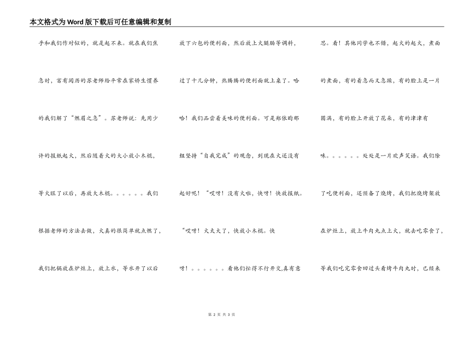 记一次野炊活动_第2页