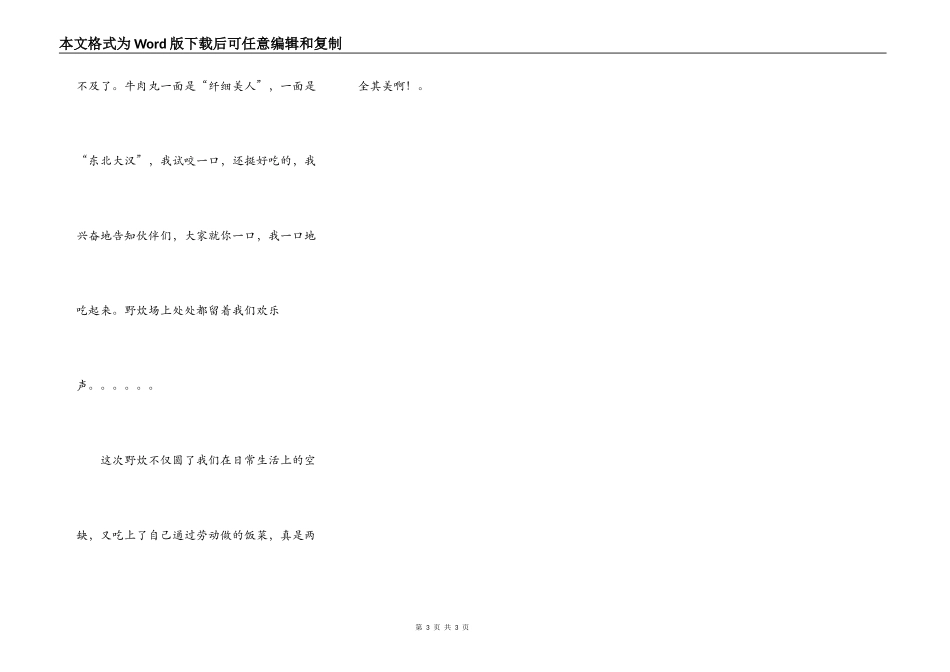 记一次野炊活动_第3页