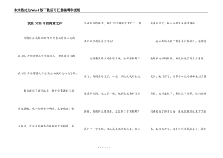 我在2022年的得意之作