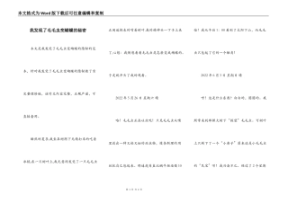 我发现了毛毛虫变蝴蝶的秘密
