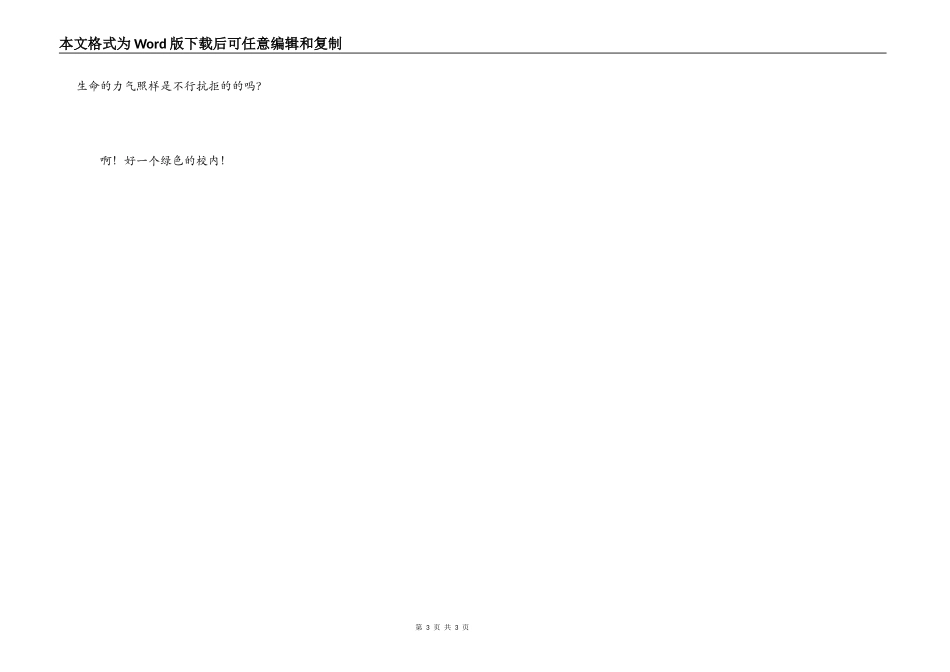 美丽的龙池中学_第3页