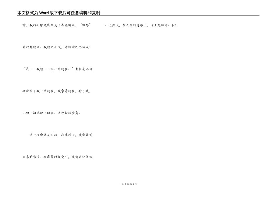 那是一次成功的尝试_第3页