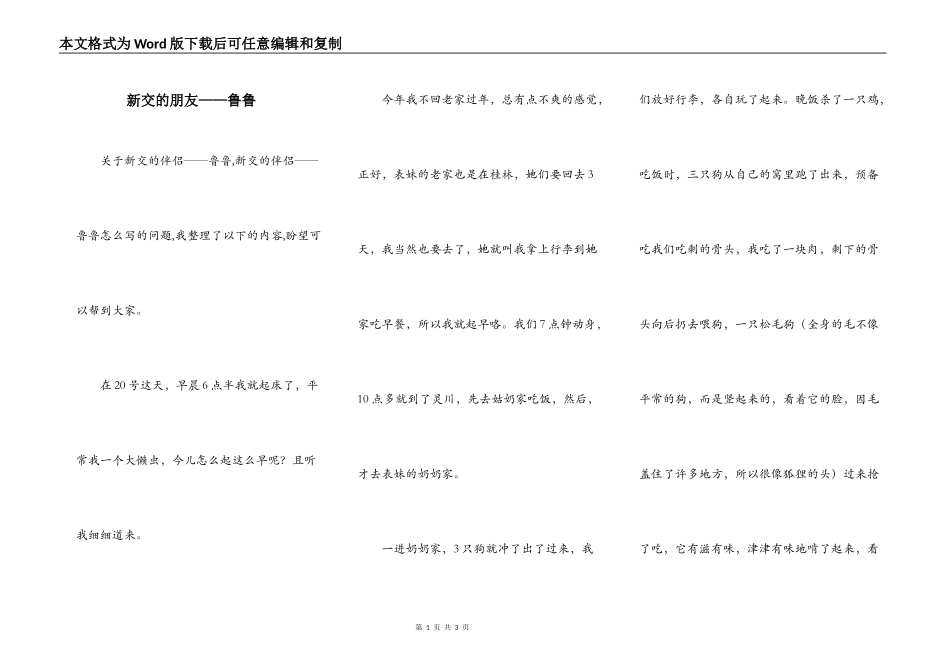 新交的朋友——鲁鲁_第1页