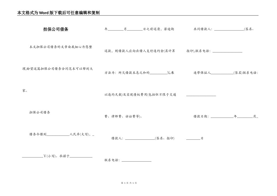 担保公司借条_第1页