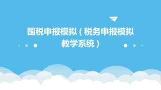 国税申报模拟(税务申报模拟教学系统)