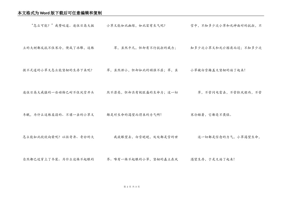 雪中的那一抹绿_第2页