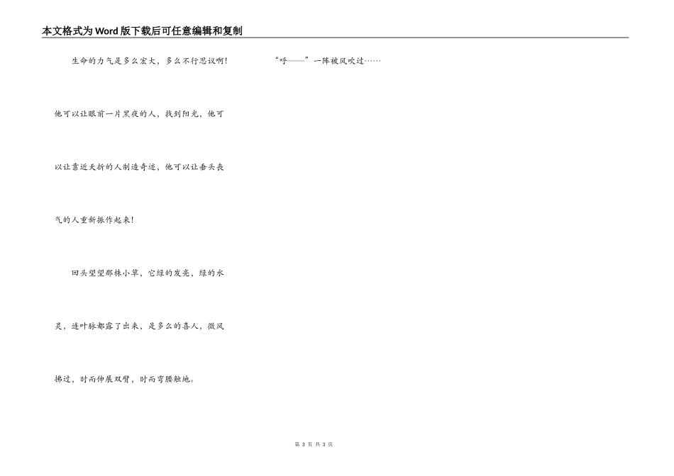 雪中的那一抹绿_第3页