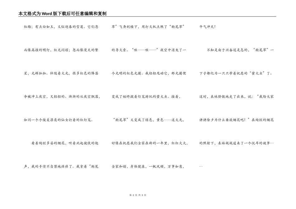 除夕夜的烟花_第2页