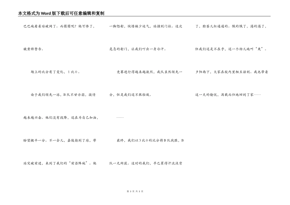 记一次精彩的足球赛_第3页