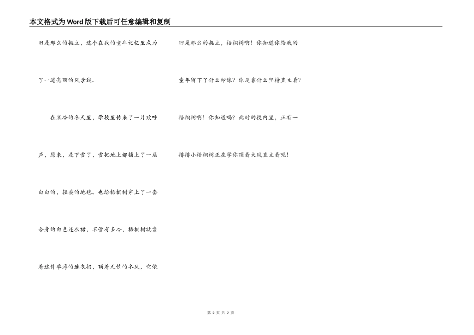 校园里的梧桐树_第2页