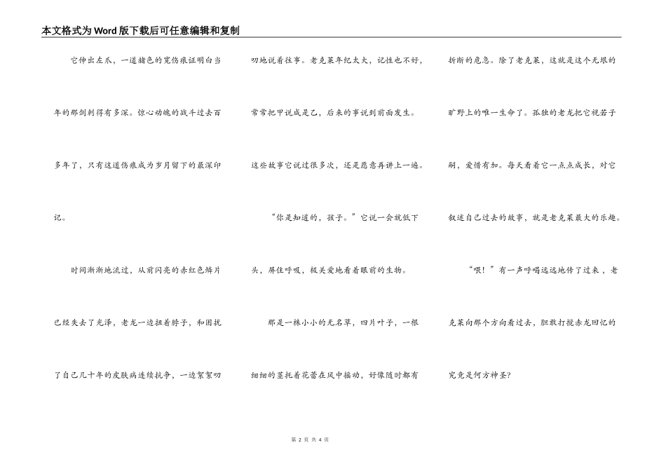 最后的龙（转载）_第2页