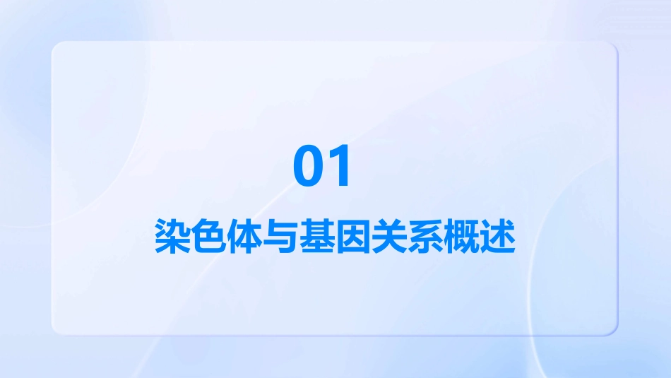 基因在染色体上_第3页