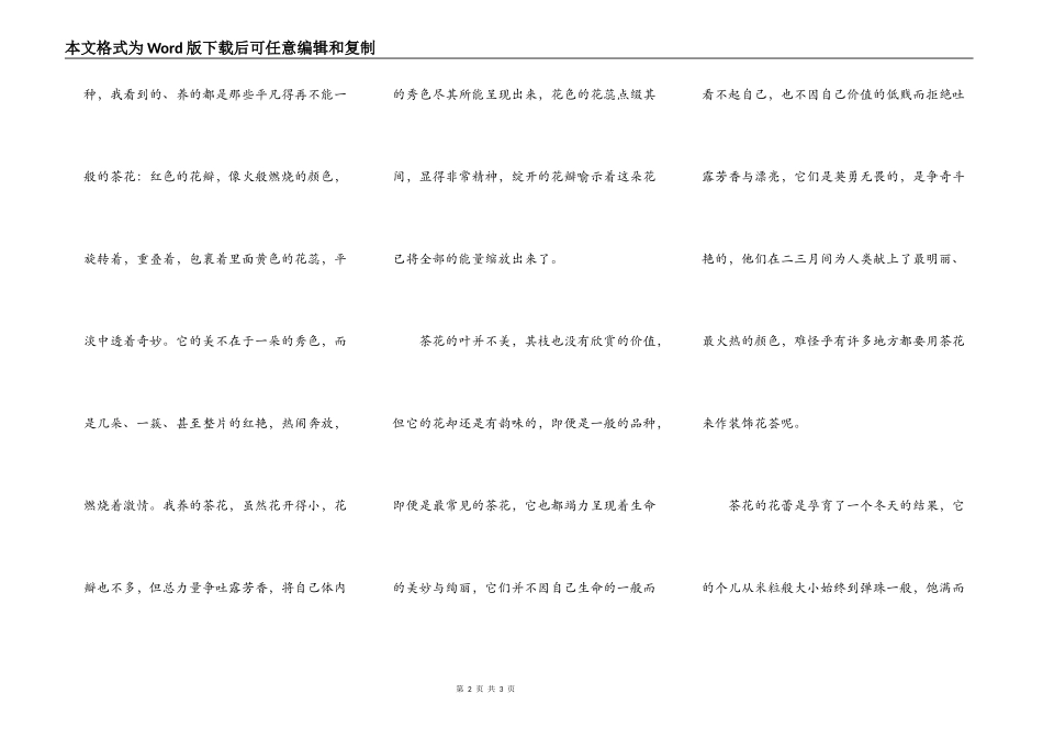 茶花情思（教师手记之280）_第2页