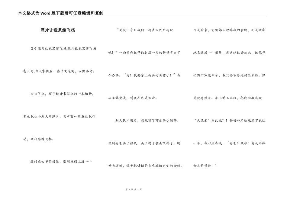 照片让我思绪飞扬_第1页