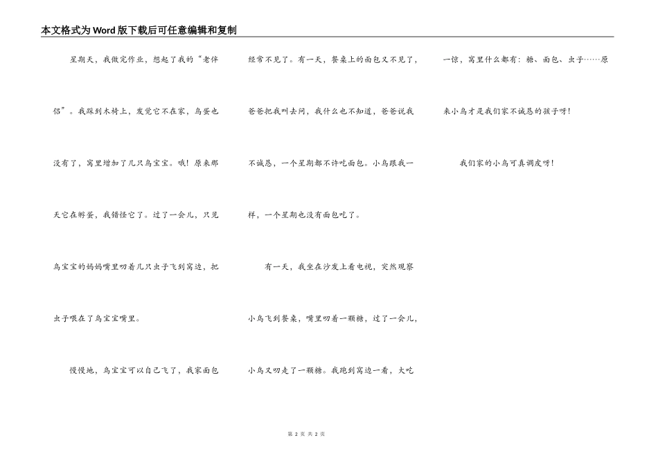 飞进家的小鸟_第2页