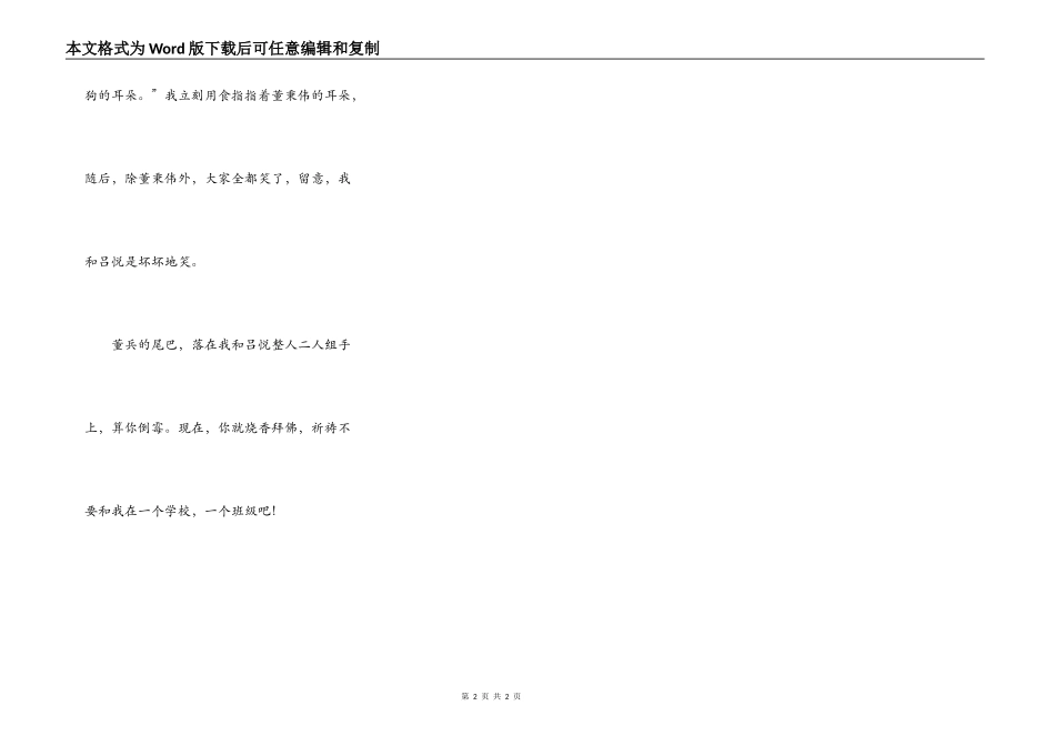 董兵的尾巴——董秉伟_第2页