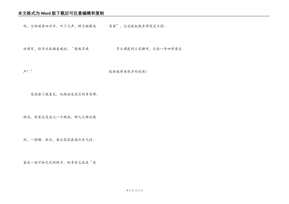 淘气的小花猫_第2页