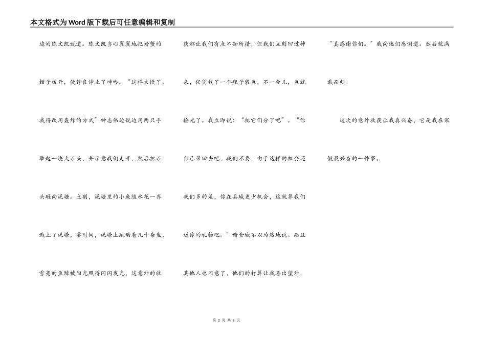 寒假我最高兴的事_第2页