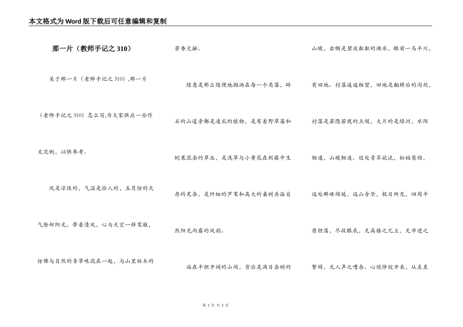 那一片（教师手记之310）_第1页