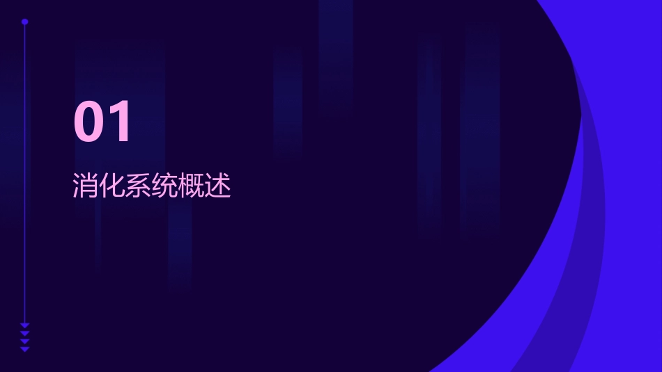 生物笔记人体的消化与吸收_第3页