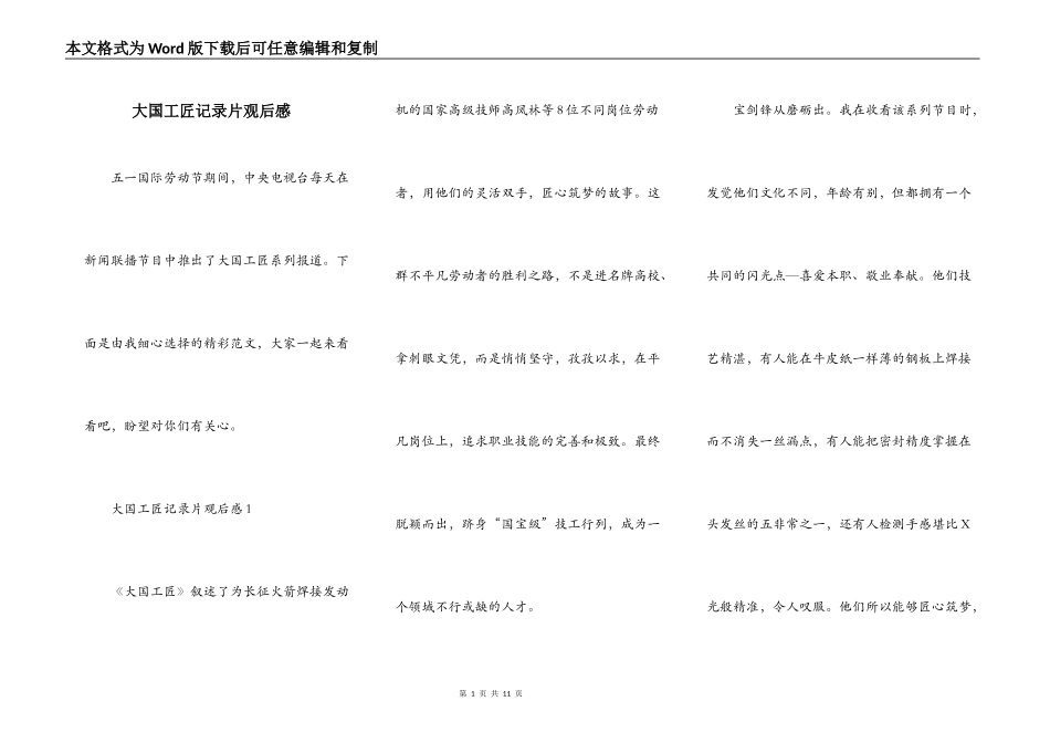 大国工匠记录片观后感_第1页