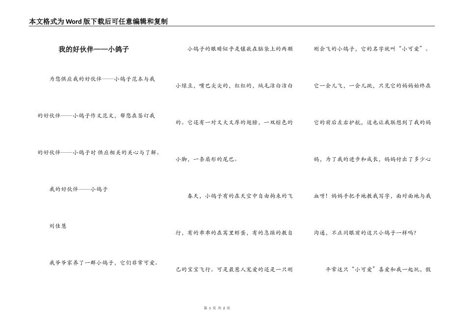 我的好伙伴——小鸽子_第1页