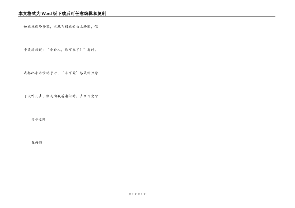 我的好伙伴——小鸽子_第2页