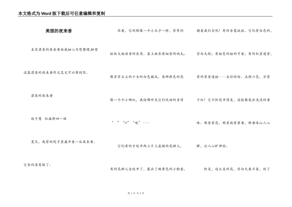 美丽的夜来香_第1页