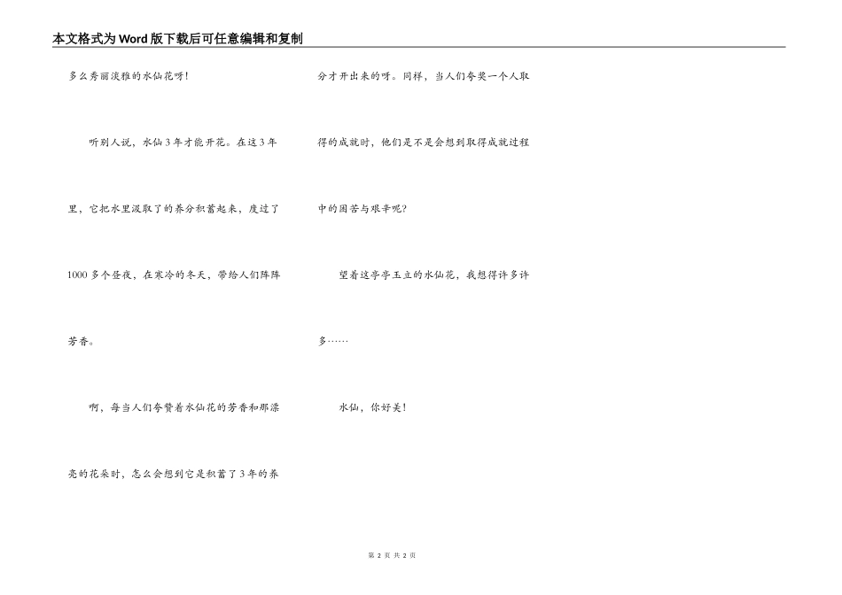 美丽芳香的水仙_第2页