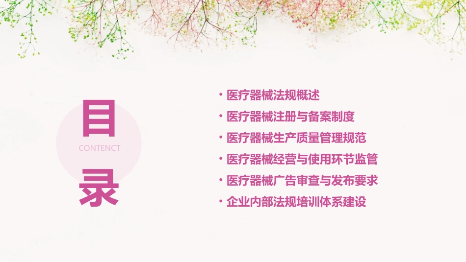 医疗器械法规年度培训导图_第2页