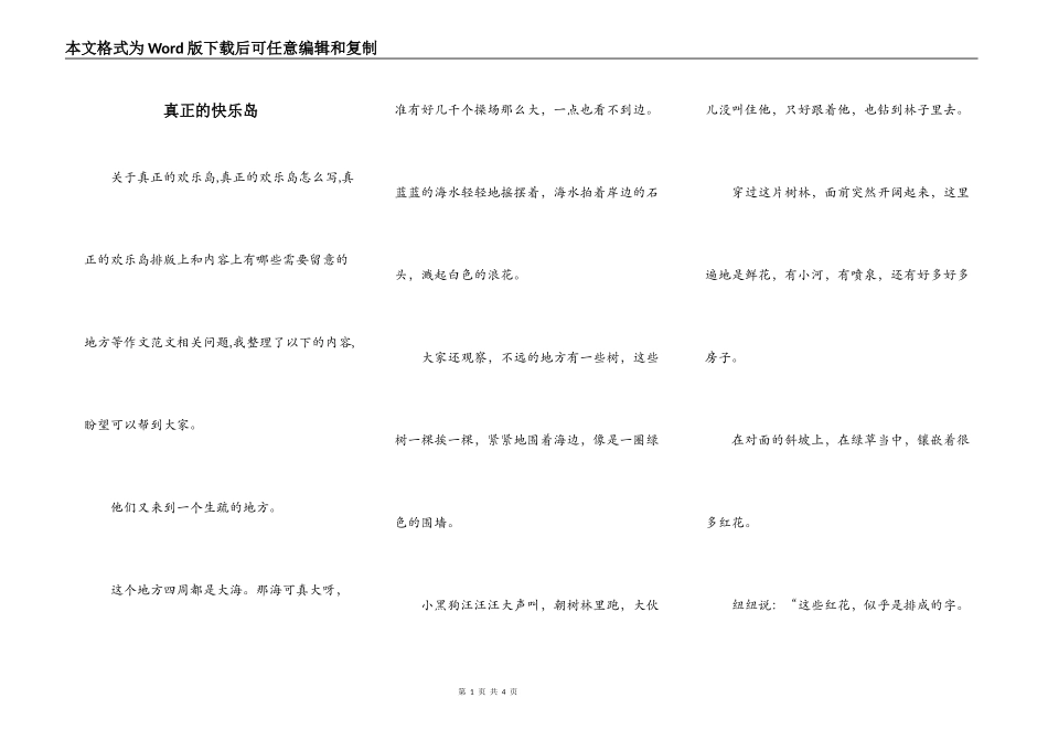真正的快乐岛_第1页