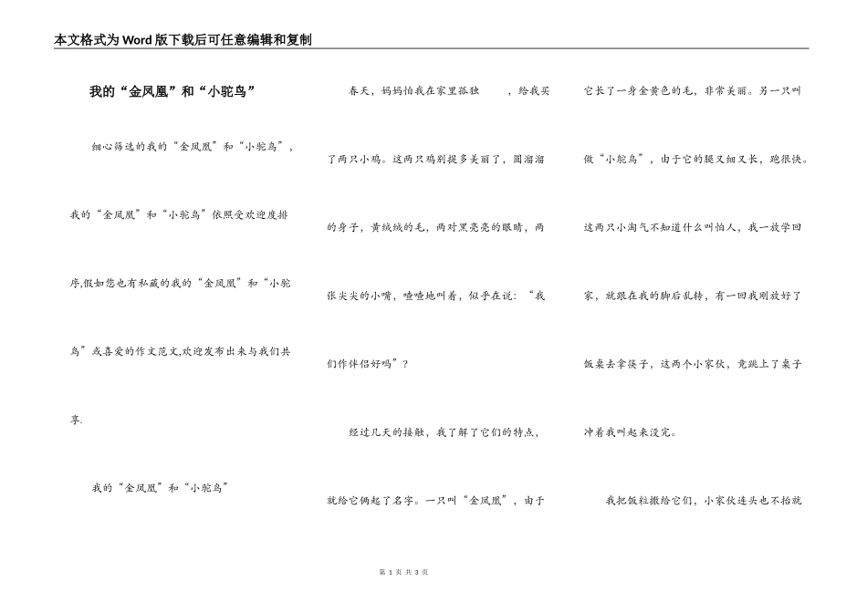 我的“金凤凰”和“小驼鸟”_第1页