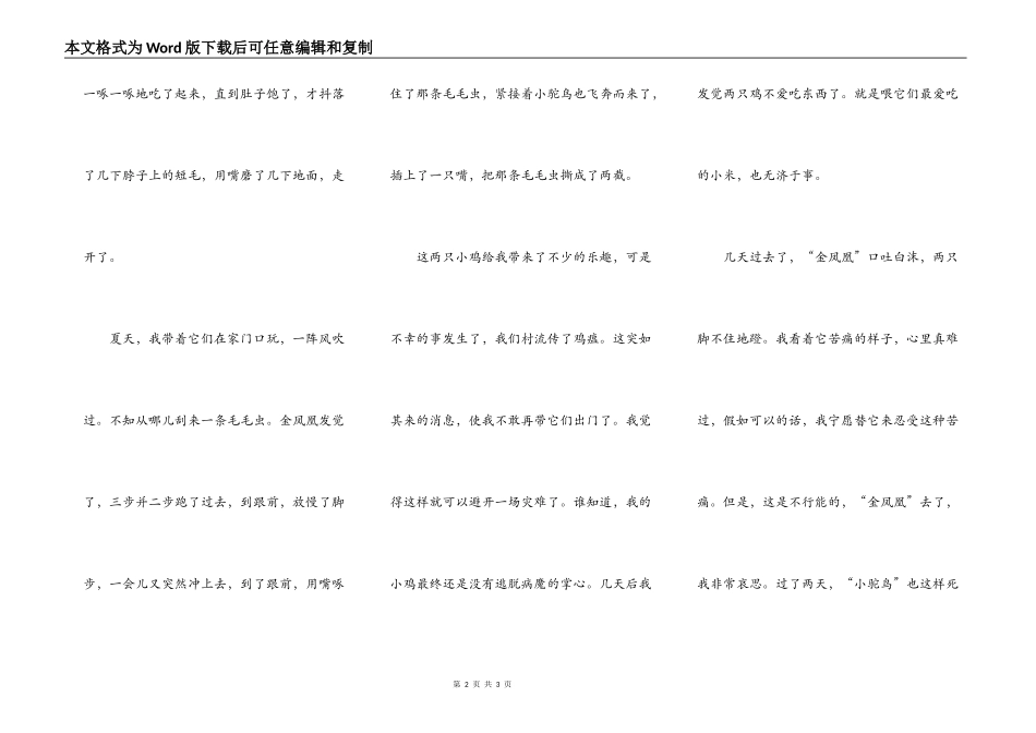 我的“金凤凰”和“小驼鸟”_第2页