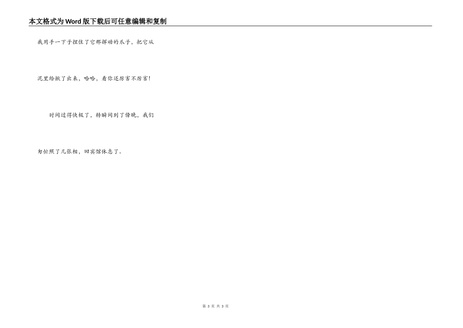 小鱼小蟹，你们别跑！_第3页