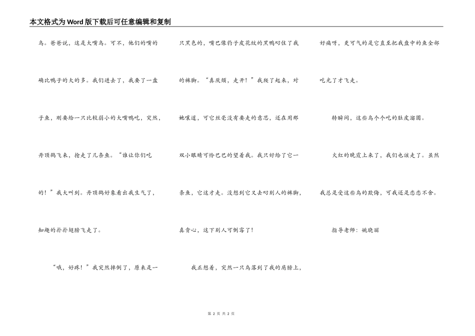难忘的假日游_第2页