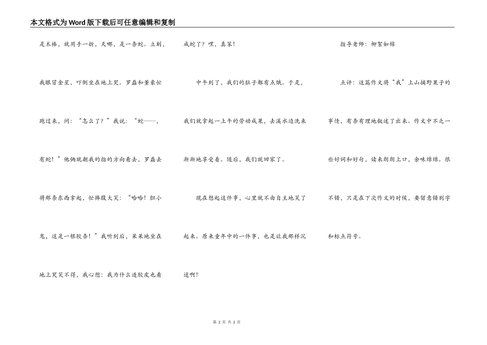 记一次上山摘野果_第2页