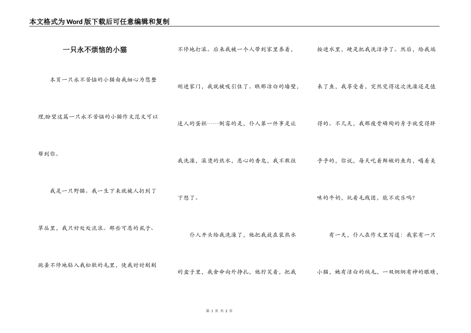 一只永不烦恼的小猫_第1页