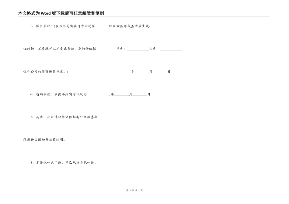 个人向个人借款借条范文_第2页