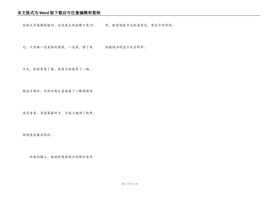 我希望他过个好年_第3页
