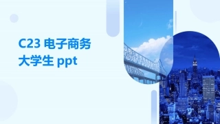 C23电子商务大学生ppt