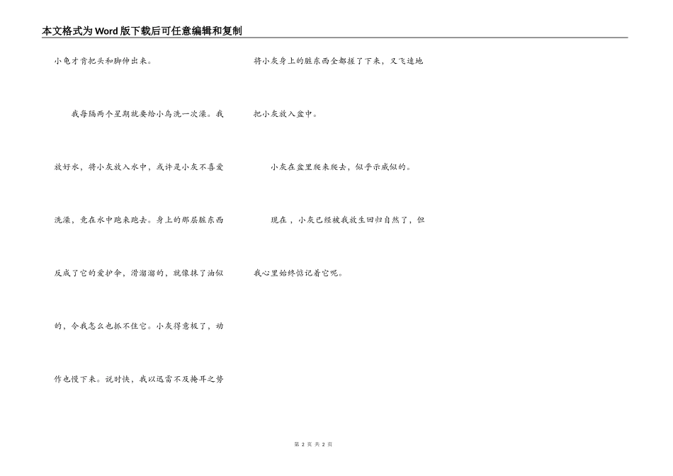 我爱我家的小乌龟_第2页